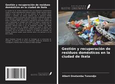 Copertina di Gestión y recuperación de residuos domésticos en la ciudad de Ikela