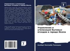 Buchcover von Управление и утилизация бытовых отходов в городе Икела