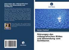 Portada del libro de Störungen des videografischen Bildes und Abwendung vom Sichtbaren