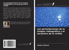 Capa do livro de Las perturbaciones de la imagen videográfica y el secuestro de lo visible 