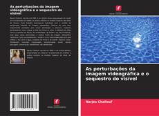 Capa do livro de As perturbações da imagem videográfica e o sequestro do visível 
