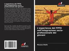 Copertina di L'esperienza del FPFD nell'integrazione socio-professionale dei giovani