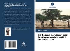 Die Lösung der Agrar- und Ernährungsproblematik in der Sahelzone的封面