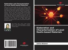 Couverture de Elaboration and Characterization of Local Kaolin-based Materials