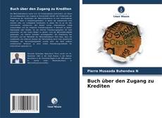 Buch über den Zugang zu Krediten的封面