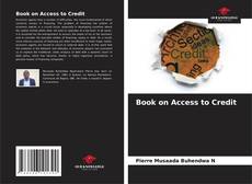 Book on Access to Credit kitap kapağı