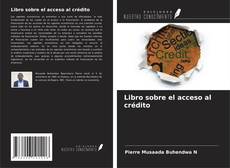 Capa do livro de Libro sobre el acceso al crédito 