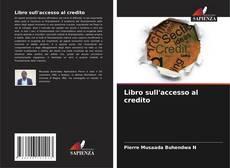 Couverture de Libro sull'accesso al credito