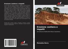Erosione costiera e impatti kitap kapağı