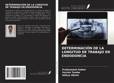 Buchcover von DETERMINACIÓN DE LA LONGITUD DE TRABAJO EN ENDODONCIA