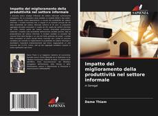 Impatto del miglioramento della produttività nel settore informale kitap kapağı