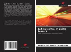 Couverture de Judicial control in public tenders