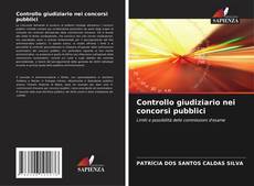 Bookcover of Controllo giudiziario nei concorsi pubblici