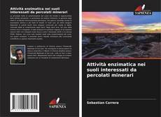 Bookcover of Attività enzimatica nei suoli interessati da percolati minerari