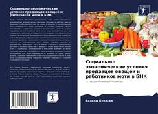 Buchcover von Социально-экономические условия продавцов овощей и работников моти в БНК