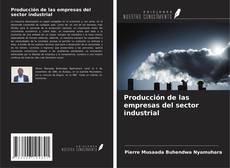 Capa do livro de Producción de las empresas del sector industrial 