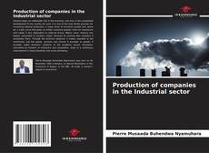 Portada del libro de Production of companies in the Industrial sector