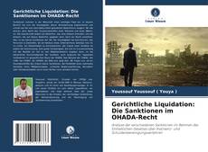 Gerichtliche Liquidation: Die Sanktionen im OHADA-Recht kitap kapağı