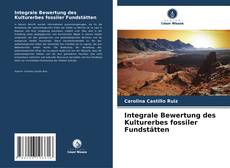 Portada del libro de Integrale Bewertung des Kulturerbes fossiler Fundstätten