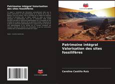 Patrimoine intégral Valorisation des sites fossilifères kitap kapağı