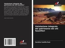 Buchcover von Valutazione integrale del patrimonio dei siti fossiliferi