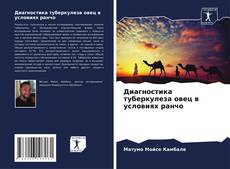 Диагностика туберкулеза овец в условиях ранчо kitap kapağı