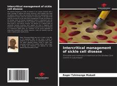 Intercritical management of sickle cell disease kitap kapağı