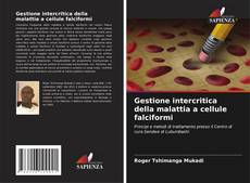 Copertina di Gestione intercritica della malattia a cellule falciformi