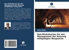 Buchcover von Geo-Risikokarten für das Management der Nutzung stillgelegter Bergwerke