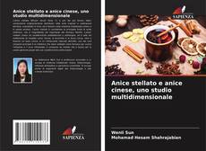 Bookcover of Anice stellato e anice cinese, uno studio multidimensionale