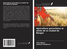 Capa do livro de Agricultura periurbana al oeste de la ciudad de Bangui 