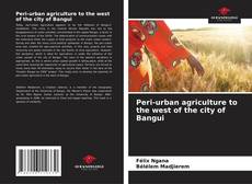 Capa do livro de Peri-urban agriculture to the west of the city of Bangui 