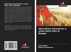 Borítókép a  Agricoltura periurbana a ovest della città di Bangui - hoz