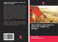 Buchcover von Agricultura periurbana a oeste da cidade de Bangui