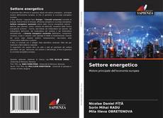 Borítókép a  Settore energetico - hoz