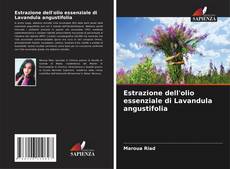 Borítókép a  Estrazione dell'olio essenziale di Lavandula angustifolia - hoz