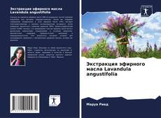 Portada del libro de Экстракция эфирного масла Lavandula angustifolia