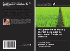 Bookcover of Recuperación de masa y energía de la paja de arroz como fuente de biomasa