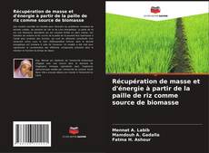 Bookcover of Récupération de masse et d'énergie à partir de la paille de riz comme source de biomasse