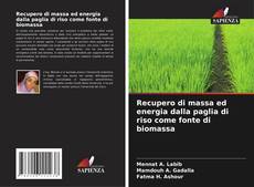 Capa do livro de Recupero di massa ed energia dalla paglia di riso come fonte di biomassa 
