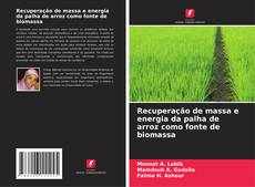 Buchcover von Recuperação de massa e energia da palha de arroz como fonte de biomassa