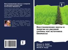 Buchcover von Восстановление массы и энергии из рисовой соломы как источника биомассы