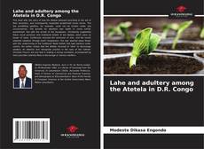 Buchcover von Lahe and adultery among the Atetela in D.R. Congo