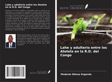 Portada del libro de Lahe y adulterio entre los Atetela en la R.D. del Congo