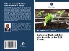 Обложка Lahe und Ehebruch bei den Atetela in der D.R. Kongo