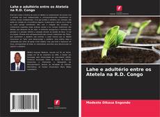 Bookcover of Lahe e adultério entre os Atetela na R.D. Congo