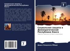 Portada del libro de Социальная защита в Демократической Республике Конго