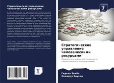 Стратегическое управление человеческими ресурсами kitap kapağı