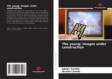 Bookcover of The young: images under construction