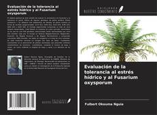 Evaluación de la tolerancia al estrés hídrico y al Fusarium oxysporum kitap kapağı